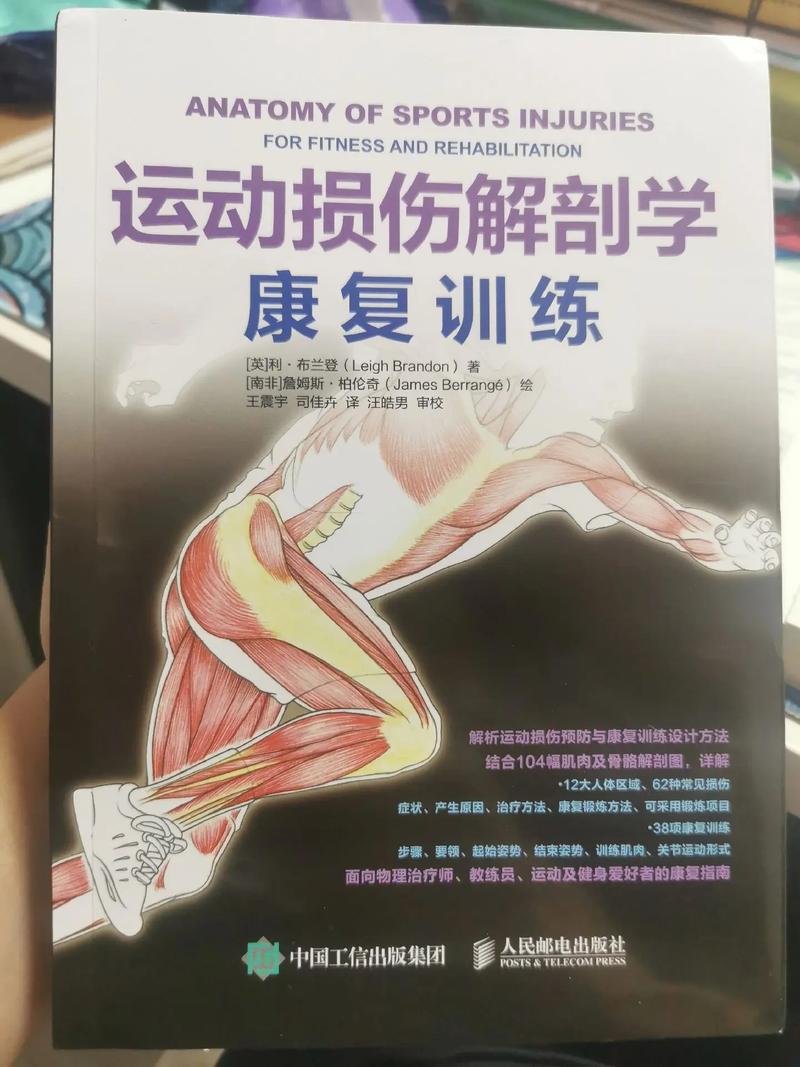 运动损伤康复之光：让我们一起守护健康旅程